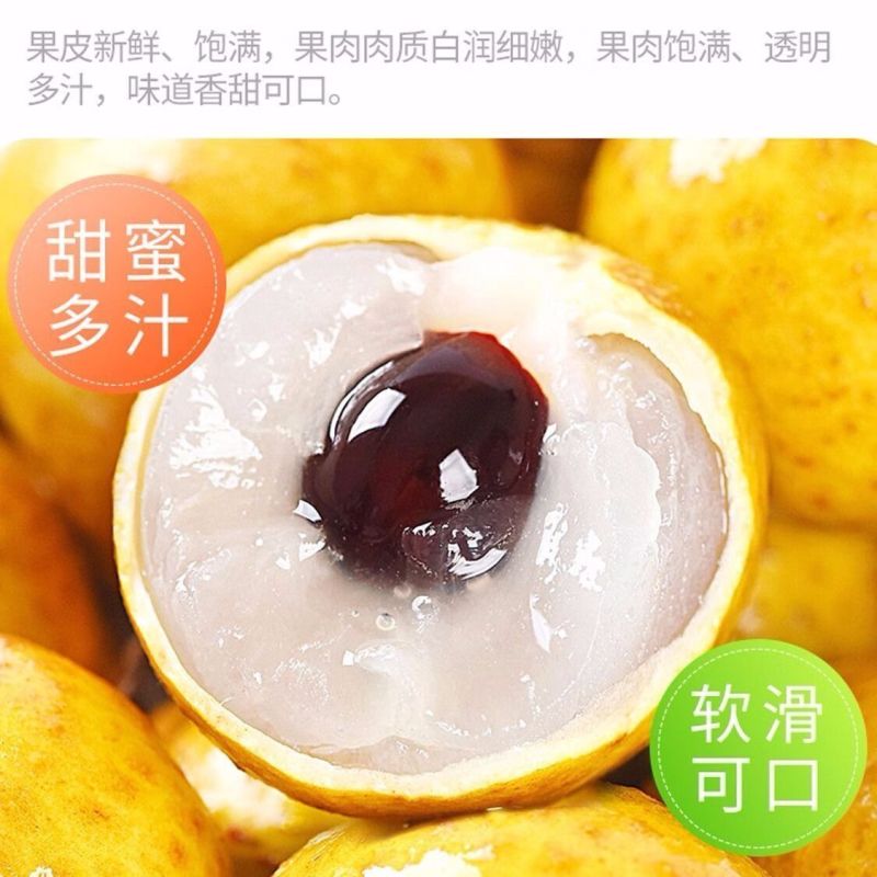 《一件代发》广东龙眼~石峡龙眼对接各大电商平台日发2万单