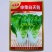 申荣白天鹅小白菜种子原装矮脚白小白菜种子白梗速生小白菜种
