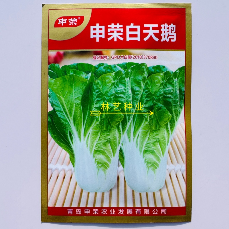 申荣白天鹅小白菜种子原装矮脚白小白菜种子白梗速生小白菜种