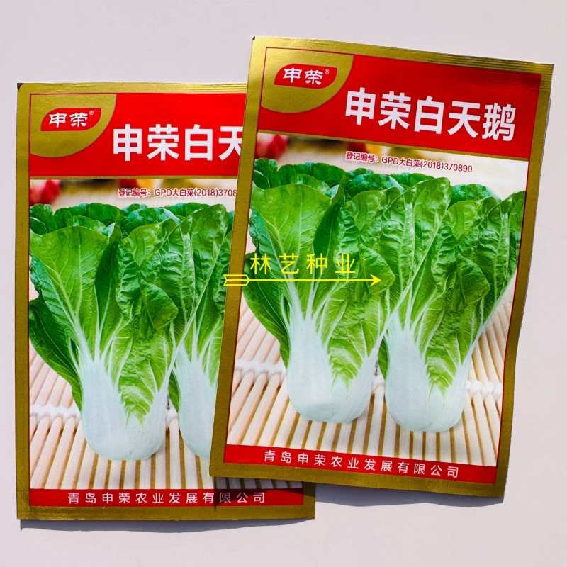 申荣白天鹅小白菜种子原装矮脚白小白菜种子白梗速生小白菜种