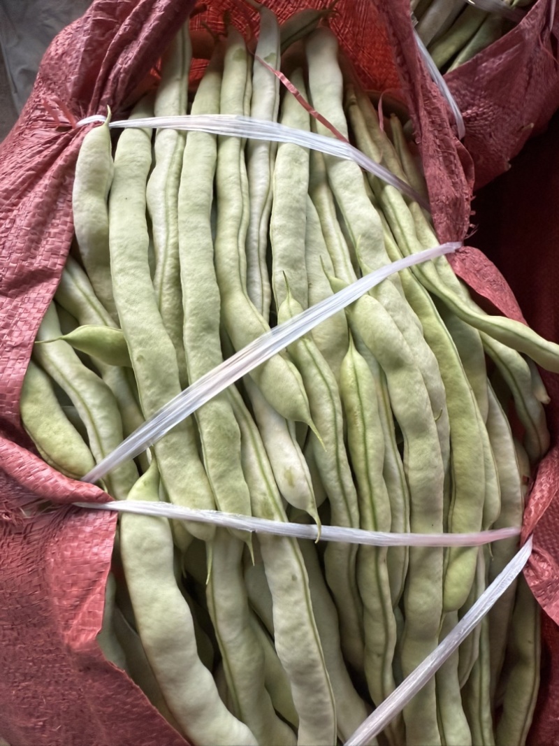 各种豆角