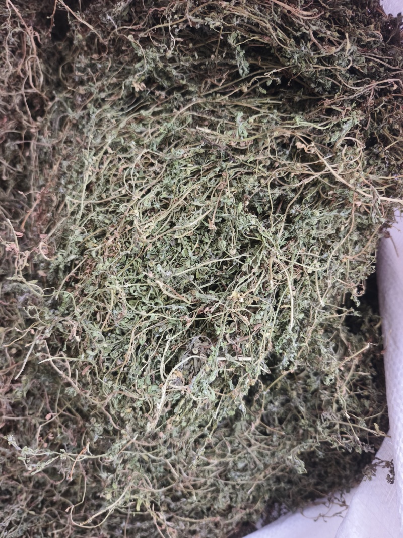 鹅不食草，2025新货，颜色绿，味浓，干度好。量大从优。