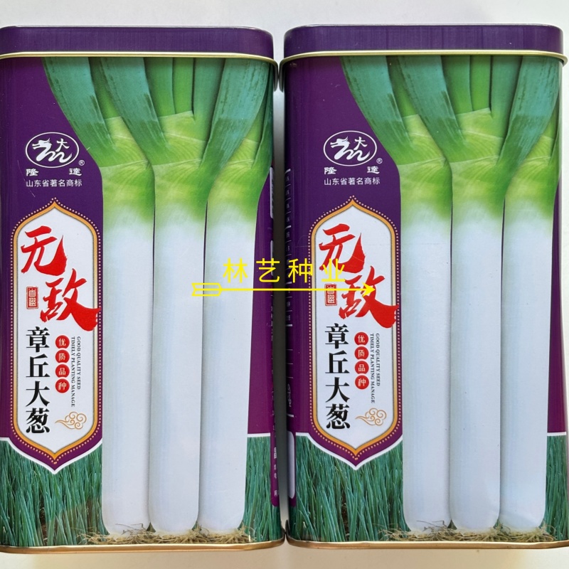 **章丘大葱种子适应性广高产抗病抗寒能力强返青冬储不空心