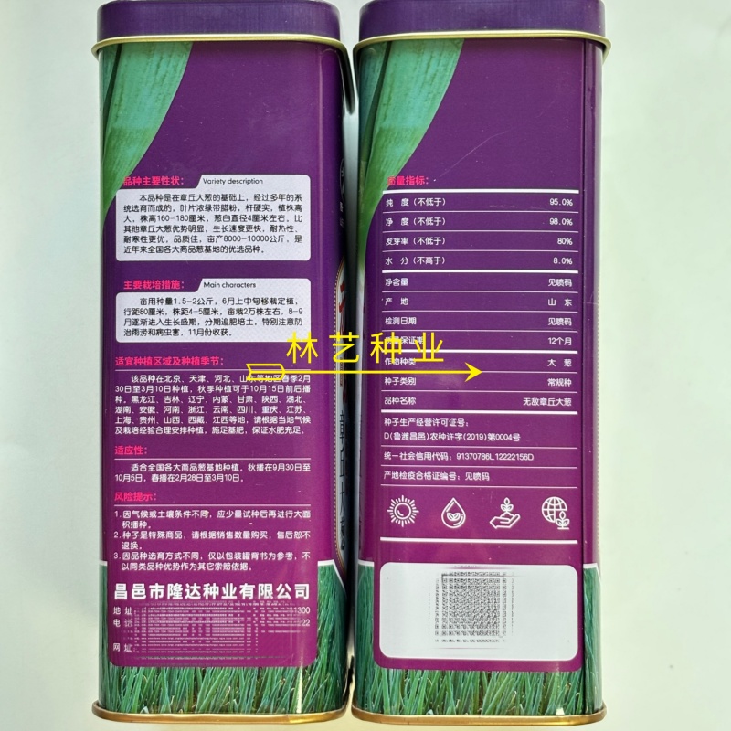 **章丘大葱种子适应性广高产抗病抗寒能力强返青冬储不空心