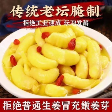山东特产枸杞嫩姜芽泡菜泡嫩姜枸杞泡姜芽生姜腌制