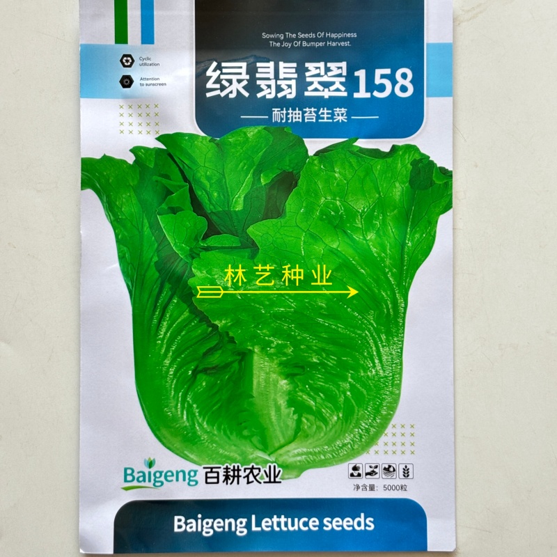 绿翡翠158生菜种子口感好深绿油亮四季耐抽抬生菜种籽