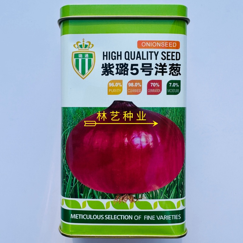 紫璐5号洋葱种子紫皮圆葱扁圆高产抗病耐储甜脆秋季大田蔬菜