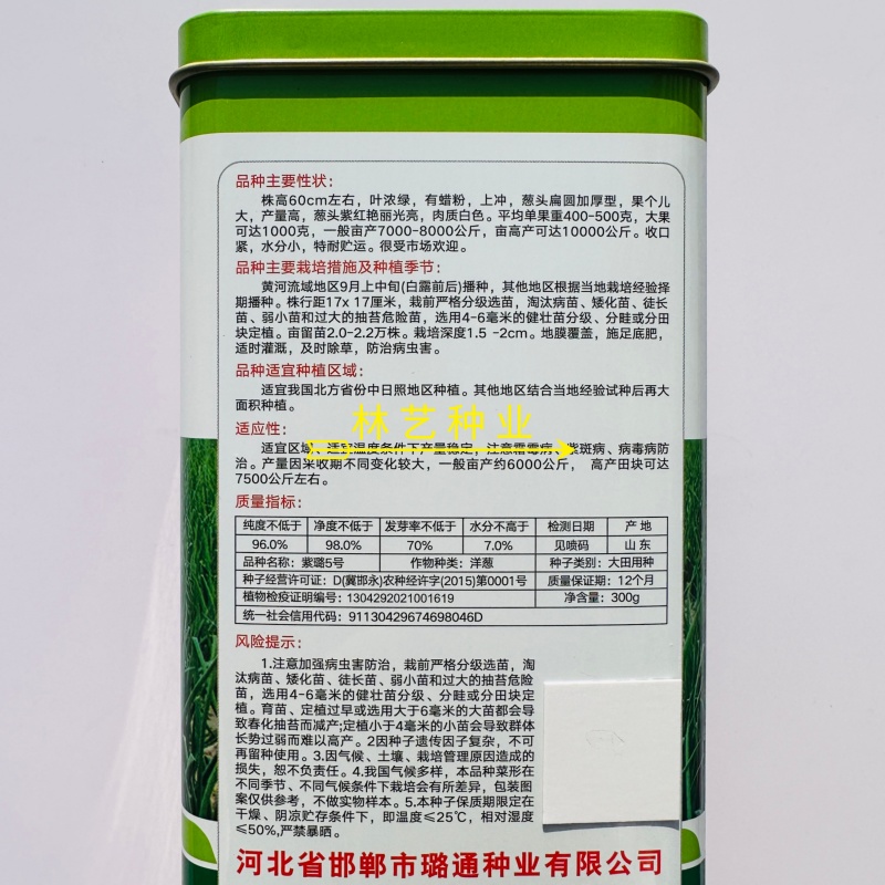紫璐5号洋葱种子紫皮圆葱扁圆高产抗病耐储甜脆秋季大田蔬菜