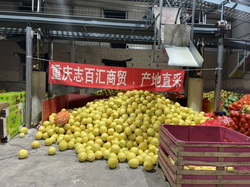 福建平和红心蜜柚