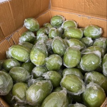 广东香水柠檬青次一级