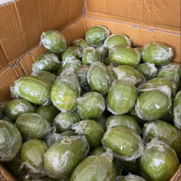 广东香水柠檬青次一级