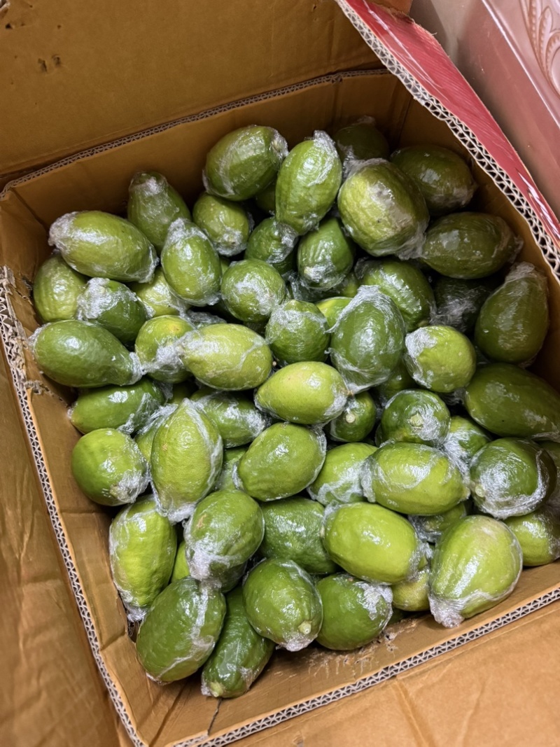 广东香水柠檬青次一级