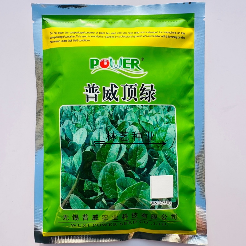 普威顶绿圆叶菠菜种子叶色浓绿光亮耐热耐寒大田专用