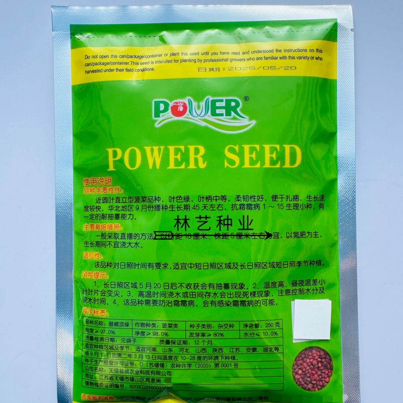 普威顶绿圆叶菠菜种子叶色浓绿光亮耐热耐寒大田专用