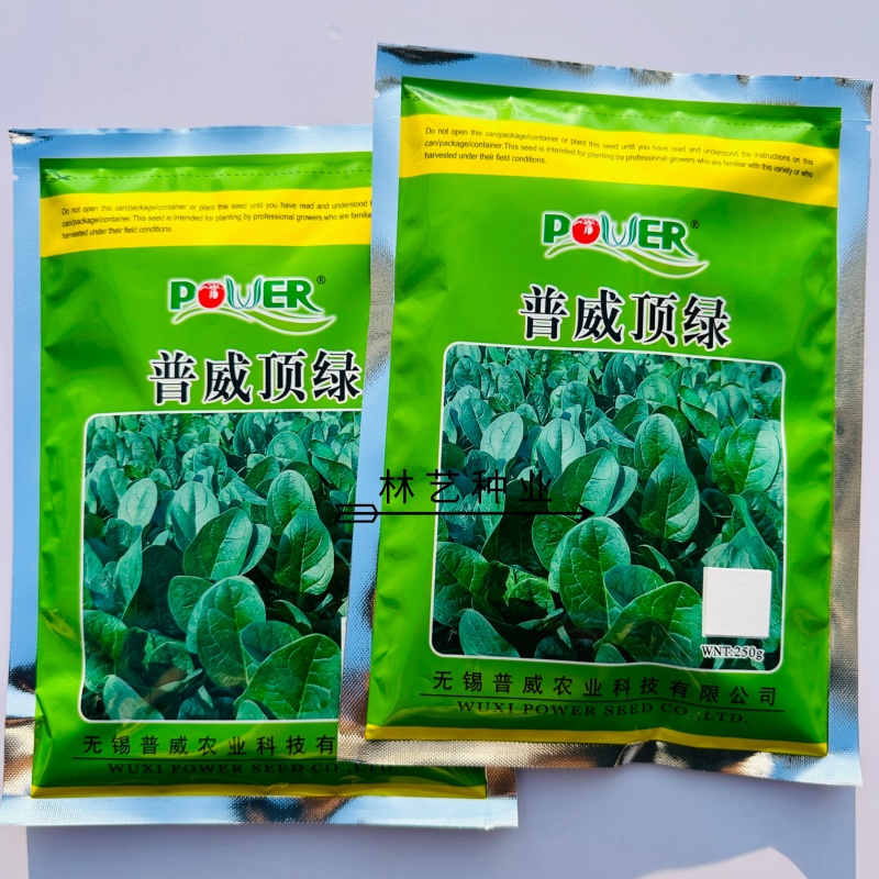 普威顶绿圆叶菠菜种子叶色浓绿光亮耐热耐寒大田专用