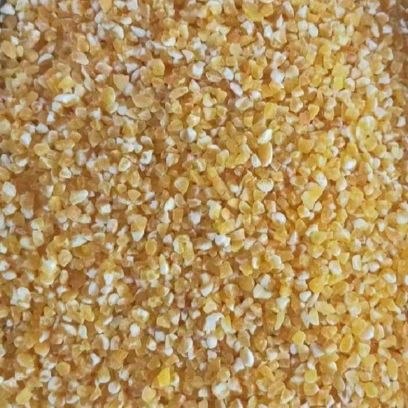 东北黑龙江碎玉米常年有货质量有保证品相优！！！