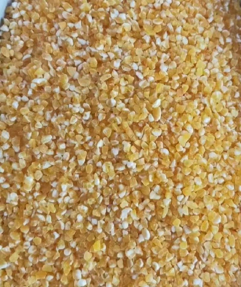 东北黑龙江碎玉米常年有货质量有保证品相优！！！