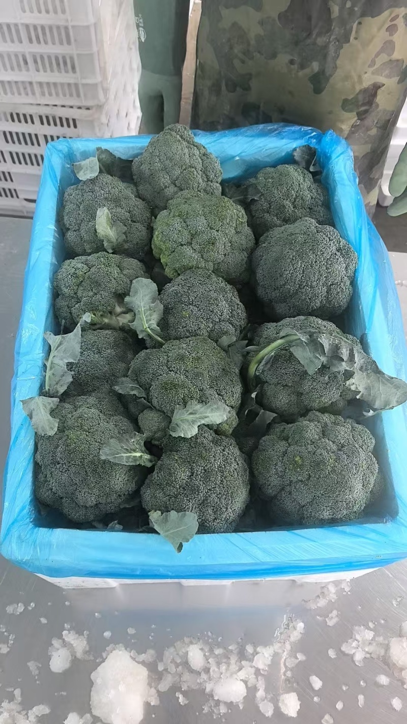 西兰花优质