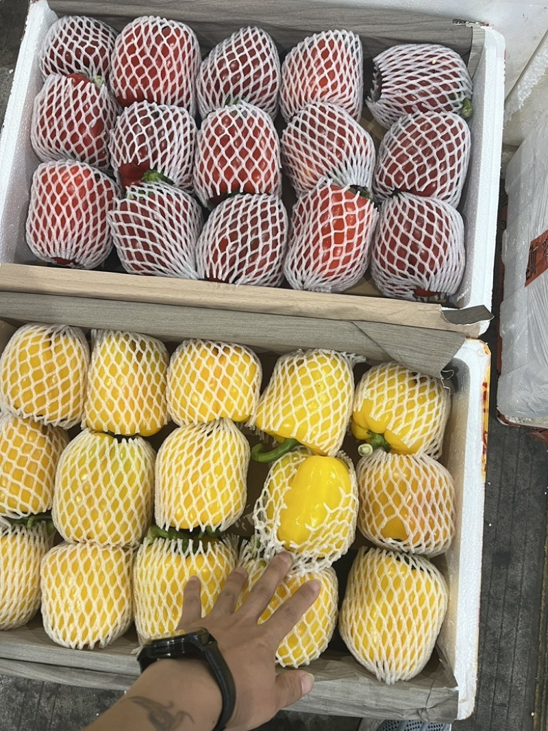 【推荐】湖北高山彩椒，甜椒产地货源大量上市中