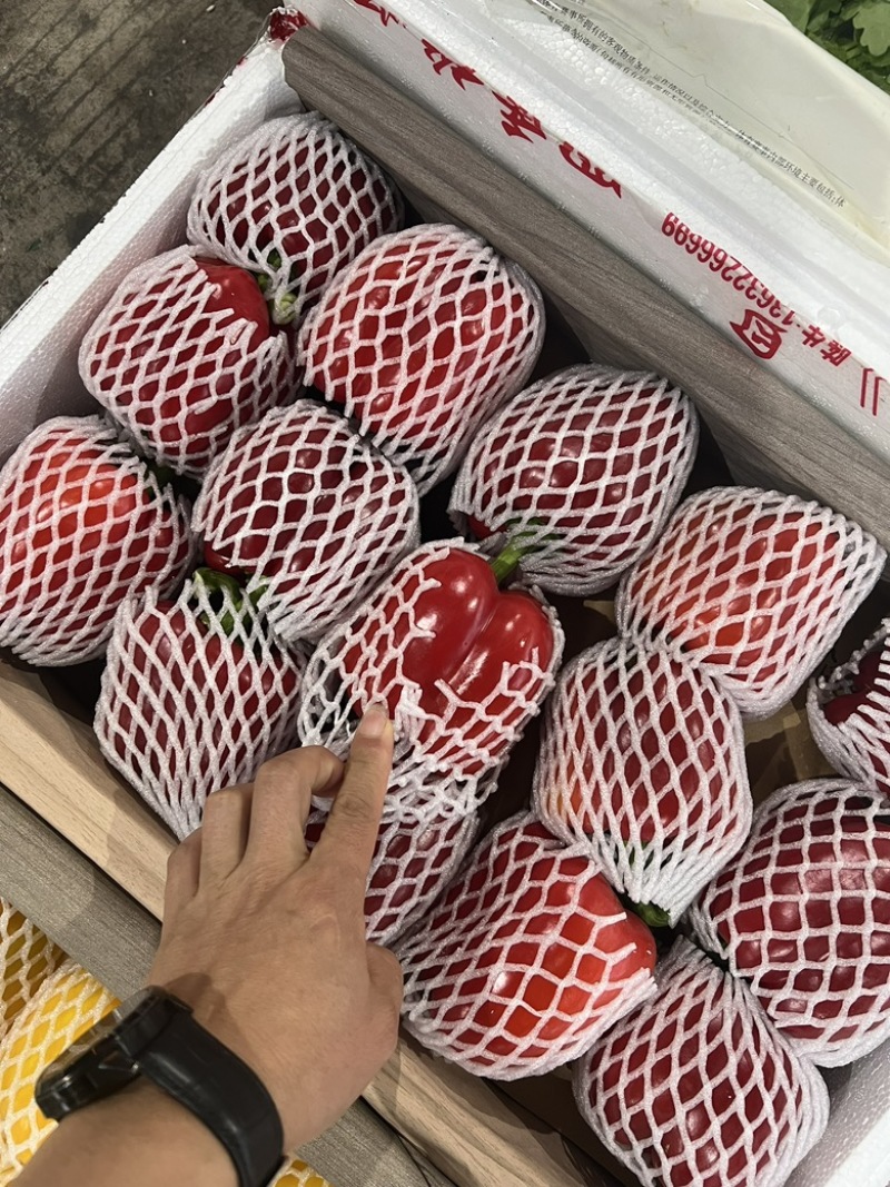 【推荐】湖北高山彩椒，甜椒产地货源大量上市中