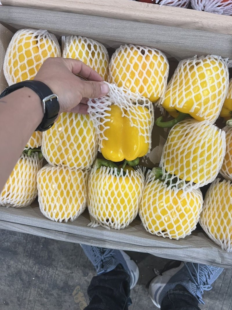 【推荐】湖北高山彩椒，甜椒产地货源大量上市中