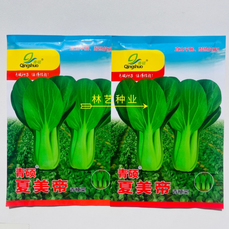 夏美帝青菜种子上海青菜种籽耐热耐湿不拔节高产抗病春夏秋播