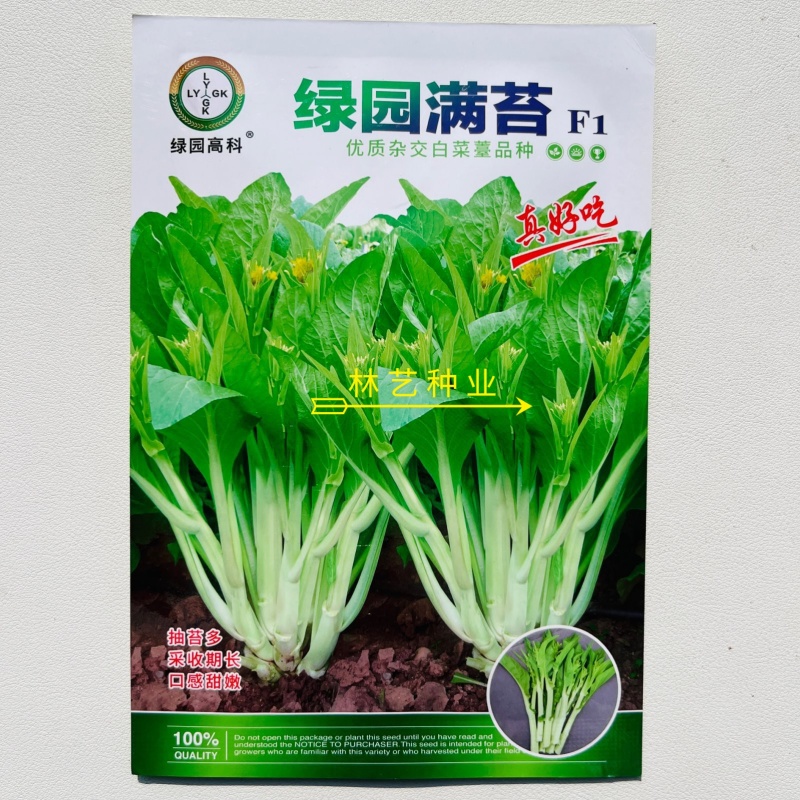 绿园满苔白菜苔种子特早熟耐寒抗病苔色嫩白苔多高产适应强