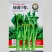 绿苔1号早熟甜菜心种子耐寒耐热甜菜苔种籽农家菜园盆栽