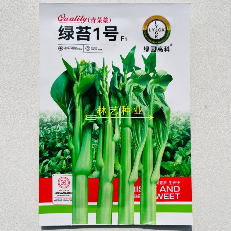 绿苔1号早熟甜菜心种子耐寒耐热甜菜苔种籽农家菜园盆栽