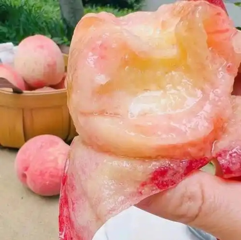 《水蜜桃》一件代发&电商平台/蒙阴水蜜桃/现摘现发