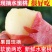 《水蜜桃》一件代发&电商平台/蒙阴水蜜桃/现摘现发