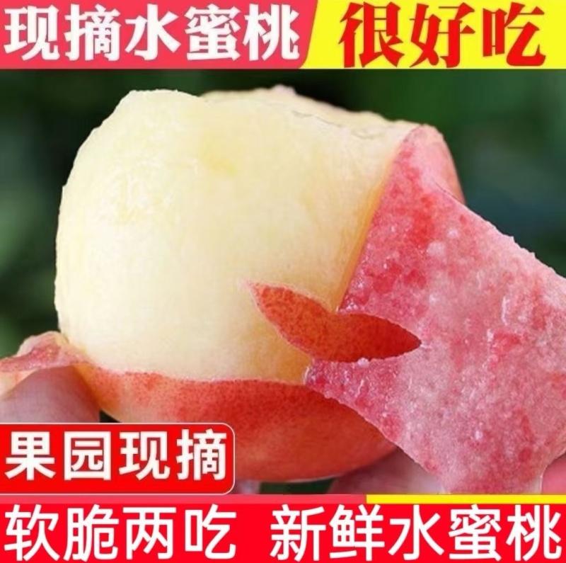 《水蜜桃》一件代发&电商平台/蒙阴水蜜桃/现摘现发