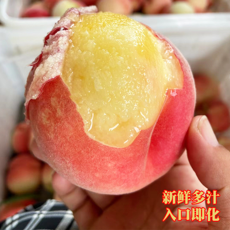 《水蜜桃》一件代发&电商平台/蒙阴水蜜桃/现摘现发