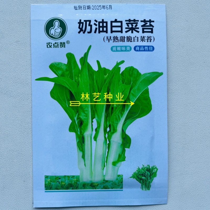 奶油白菜苔种子甜脆四季庭院农田青菜健康蔬菜种子早熟白菜心