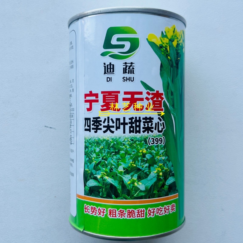 宁夏无渣四季尖叶甜菜心种子粗条甜脆菜苔芯籽春秋冬季农家蔬