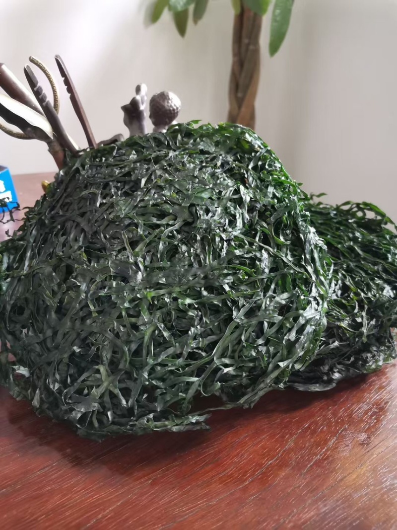 霞浦新货海带丝干货高品质餐饮地摊电商通用