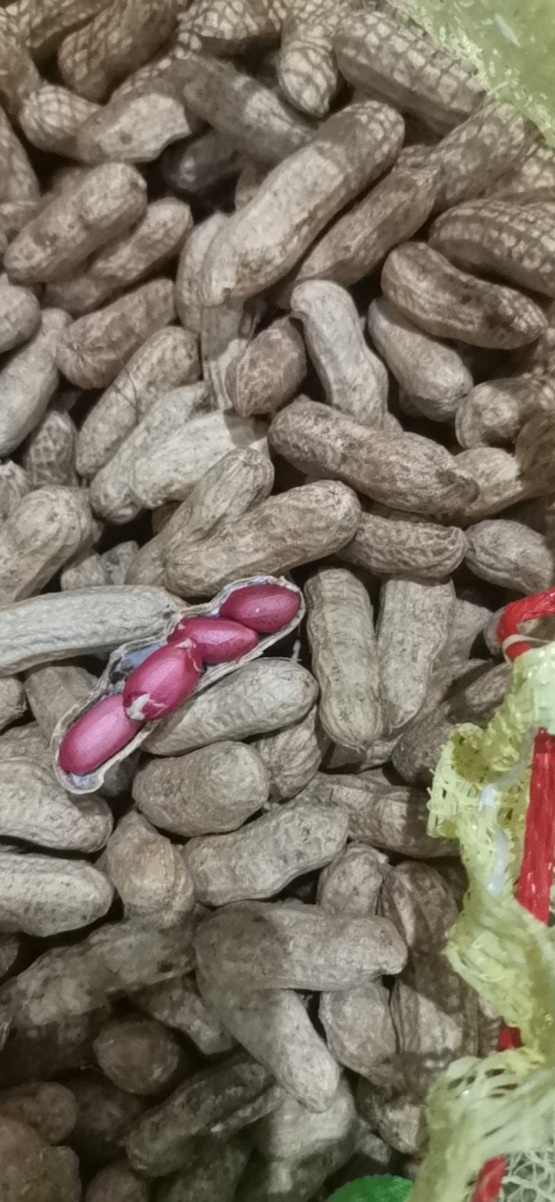 四粒红精品鲜花生