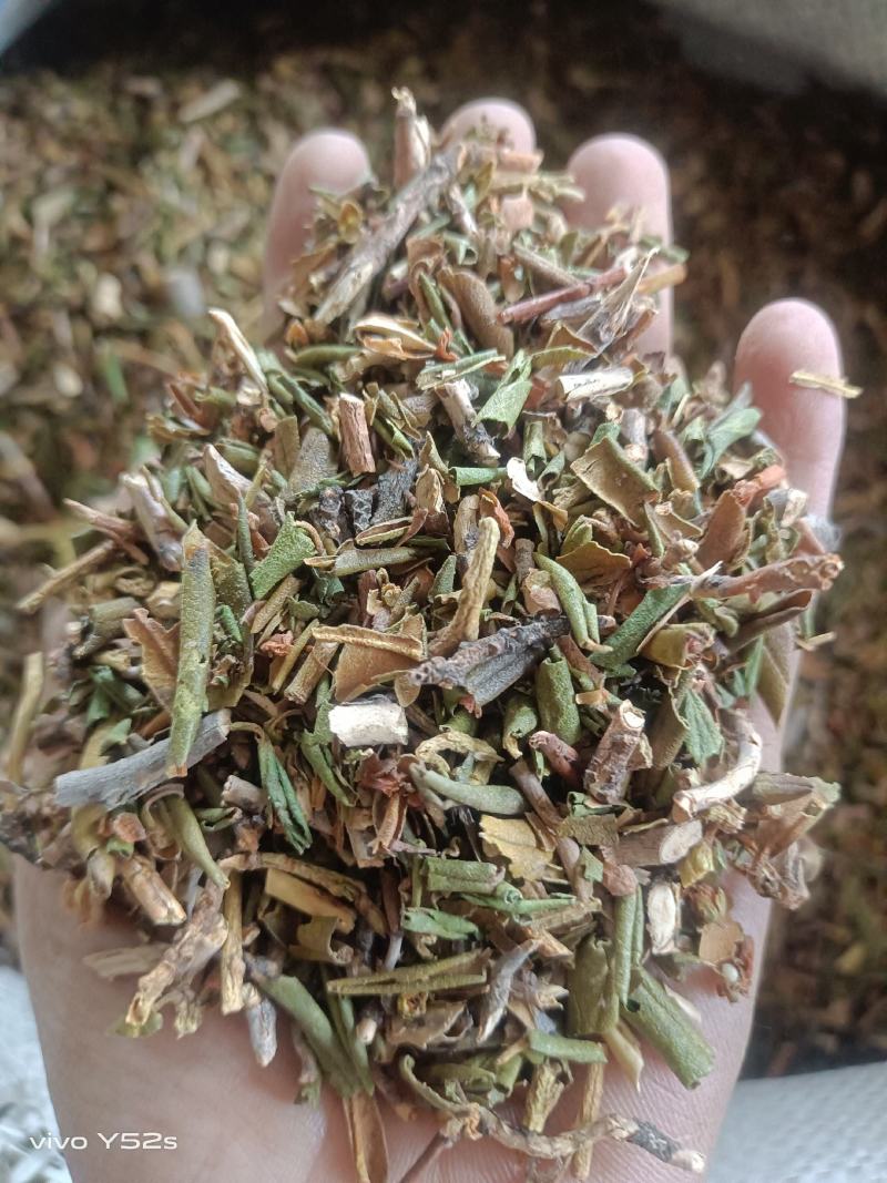 烈香杜鹃实物拍摄各种冷背药材批发，一棵是发一斤
