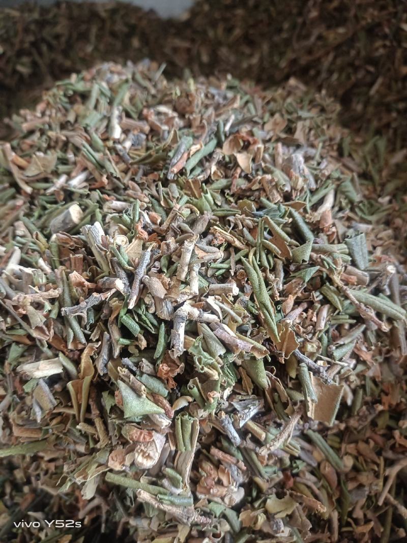 烈香杜鹃实物拍摄各种冷背药材批发，一棵是发一斤