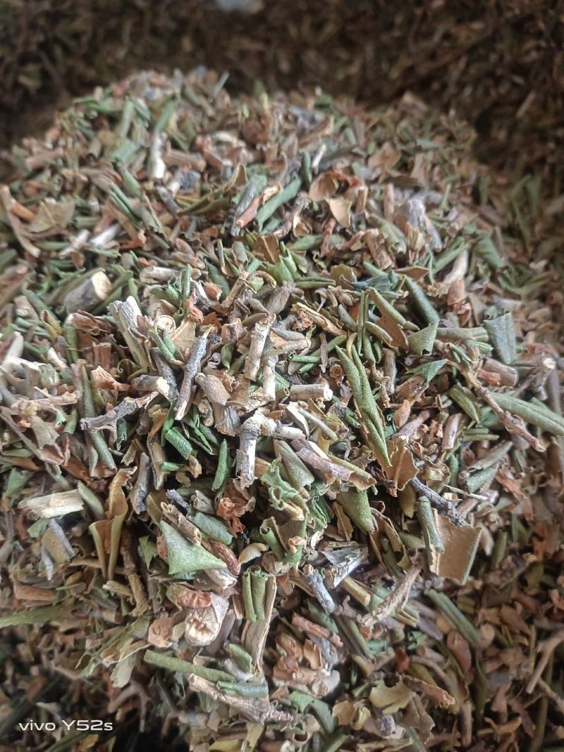 烈香杜鹃实物拍摄各种冷背药材批发，一棵是发一斤