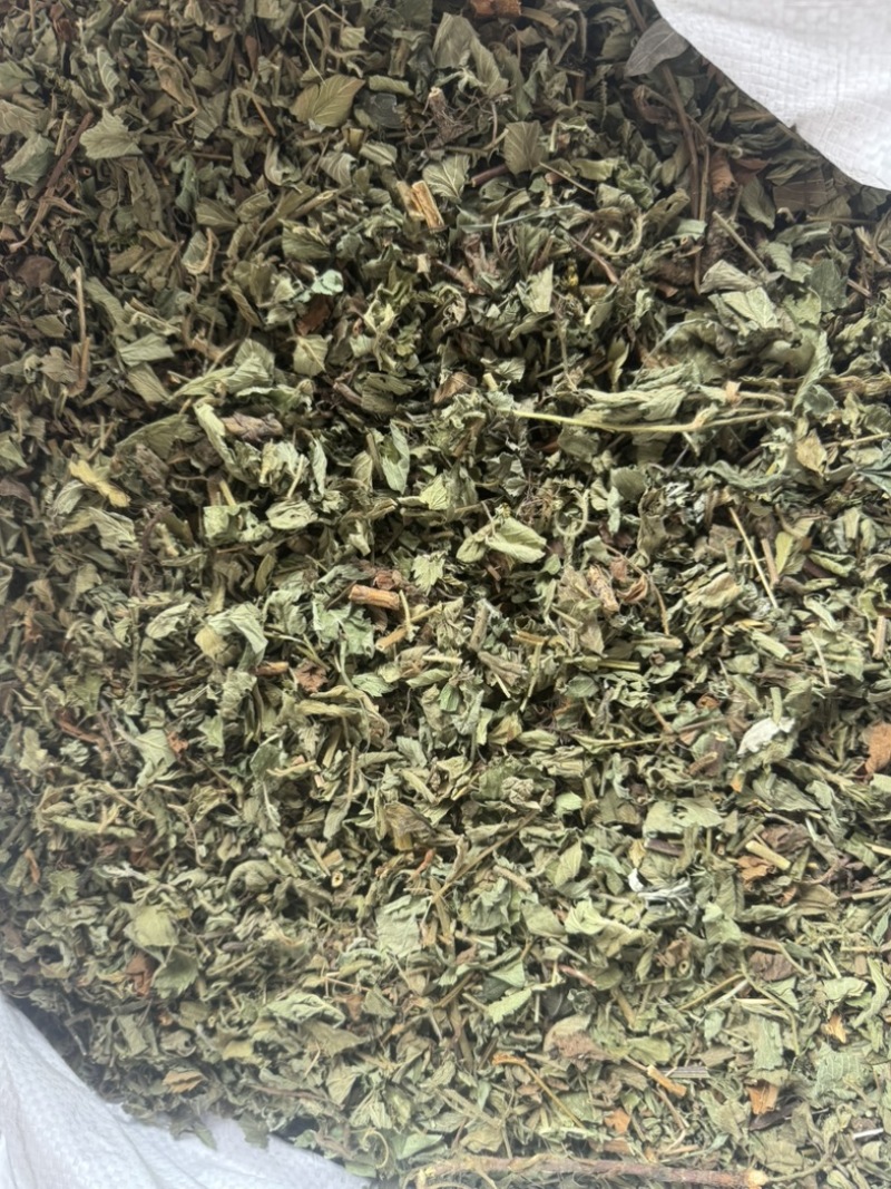 仙鹤草野生仙鹤草干度好含量高切段产地直供量大从优