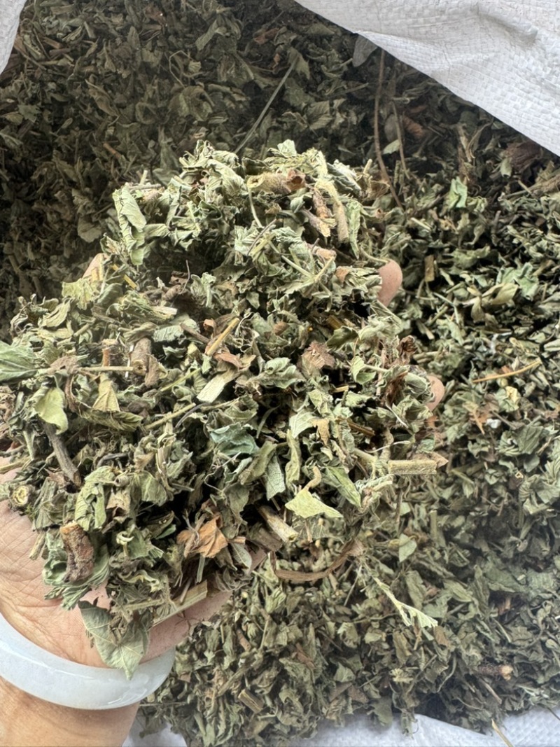 仙鹤草野生仙鹤草干度好含量高切段产地直供量大从优