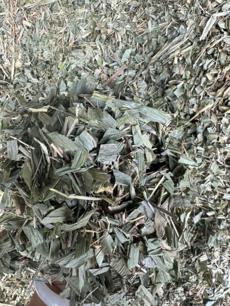 淡竹叶野生淡竹叶无根淡竹叶量大从优