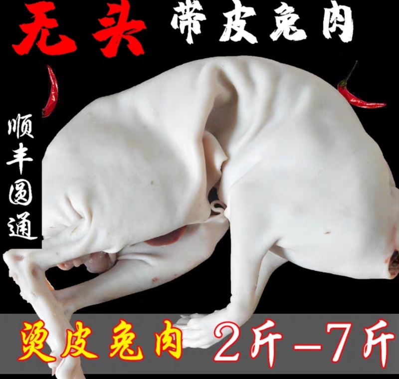 供应现宰兔肉
