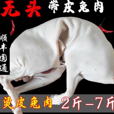 供应现宰兔肉
