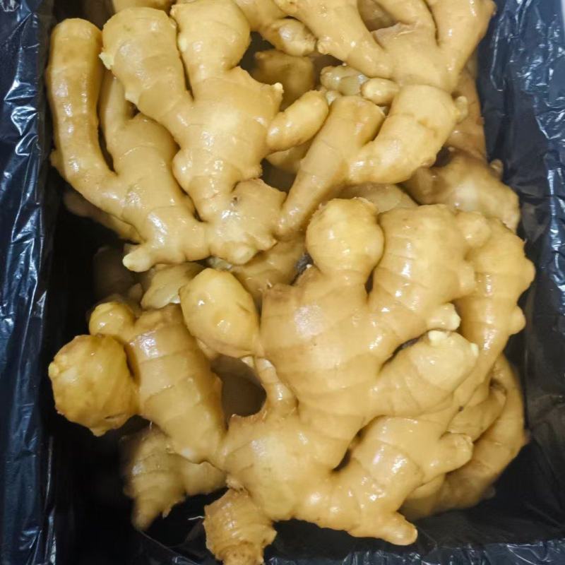 山东优质水洗大黄姜产区价格便宜，支持全国发货。