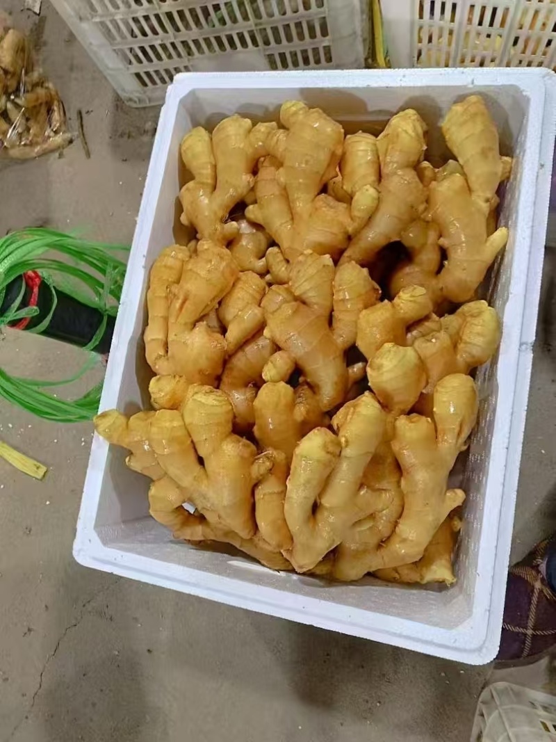 山东优质水洗大黄姜产区价格便宜，支持全国发货。