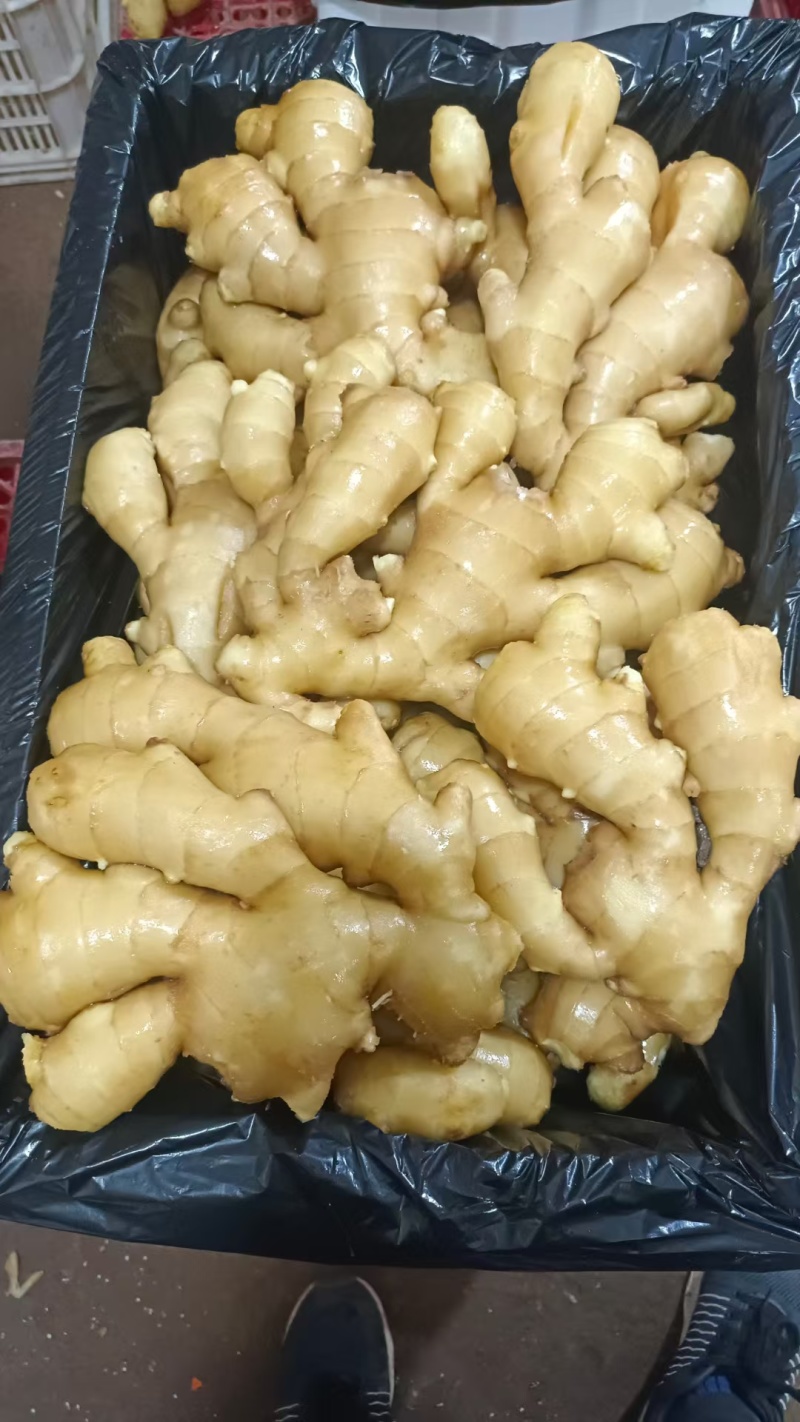 山东优质水洗大黄姜产区价格便宜，支持全国发货。