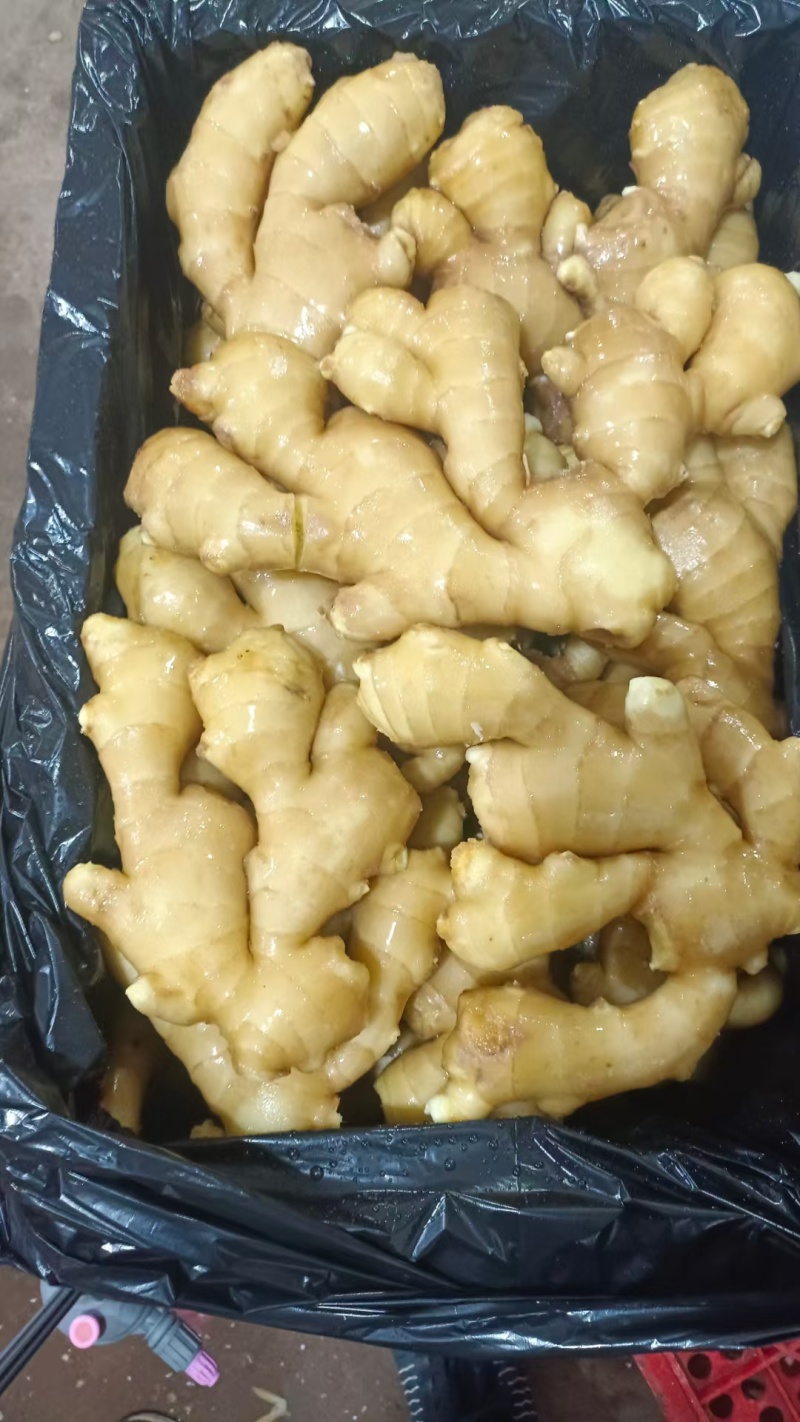 山东优质水洗大黄姜产区价格便宜，支持全国发货。