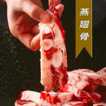 燕翅骨，实力商家，一首货源价格便宜，支持样品，全国发货